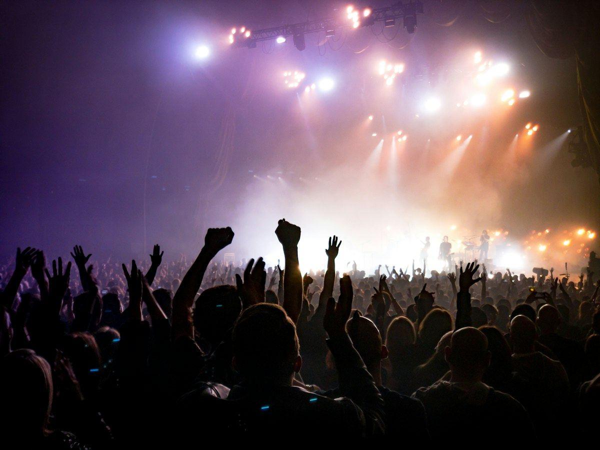 A crowd with hands up, shown in grey